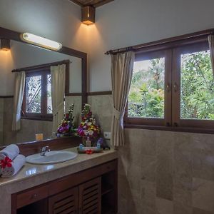 Villa Rice Field View